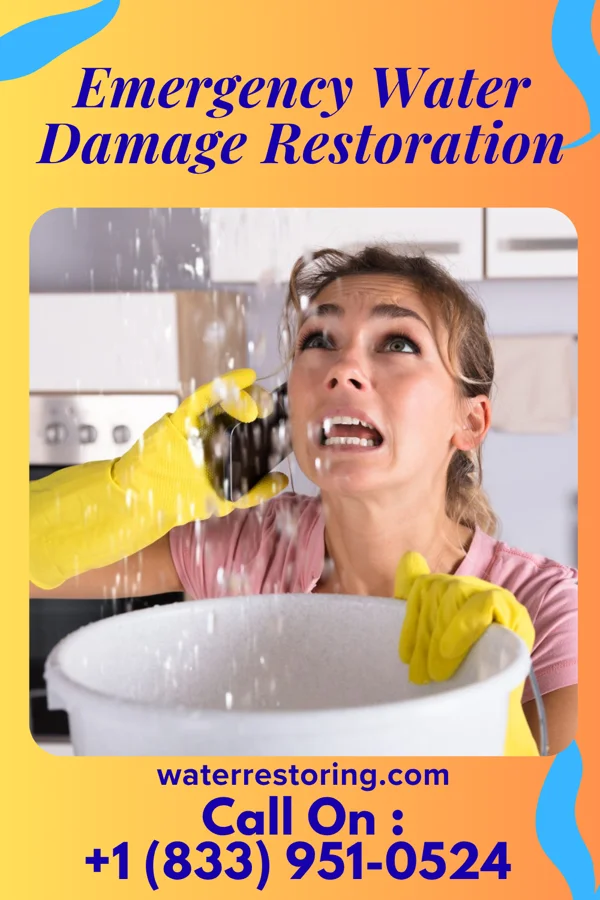 Emergency Water Damage Restoration in Halifax, VA