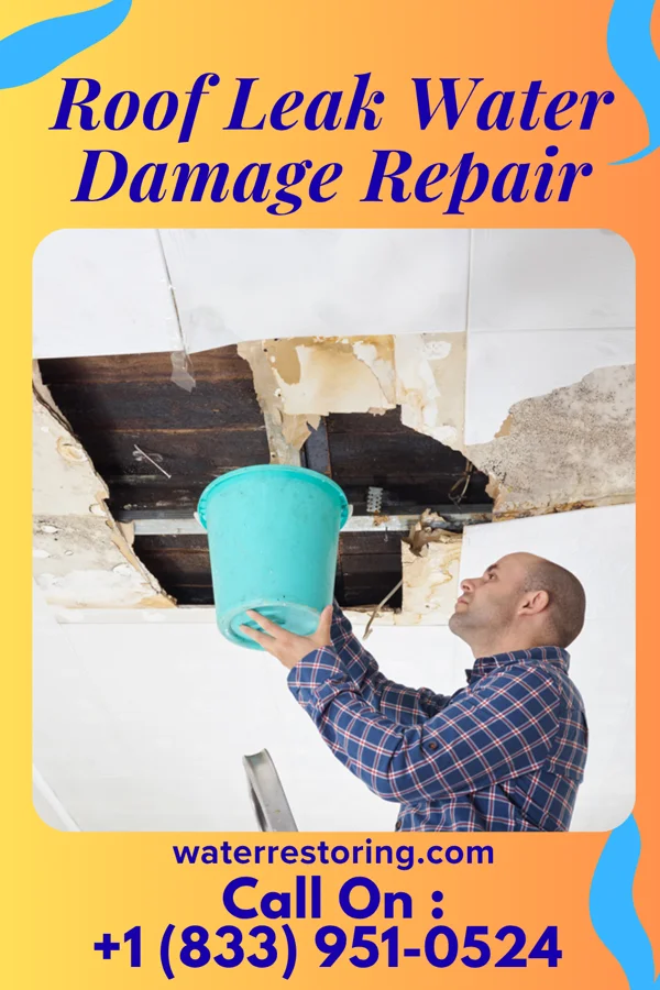 Roof Leak Water Damage Repair in Halifax, VA