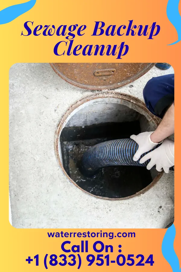 Sewage Backup Cleanup in Halifax, VA