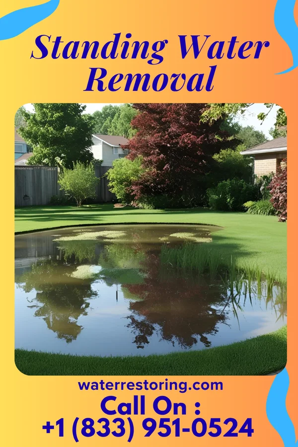 Standing Water Removal in Halifax, VA